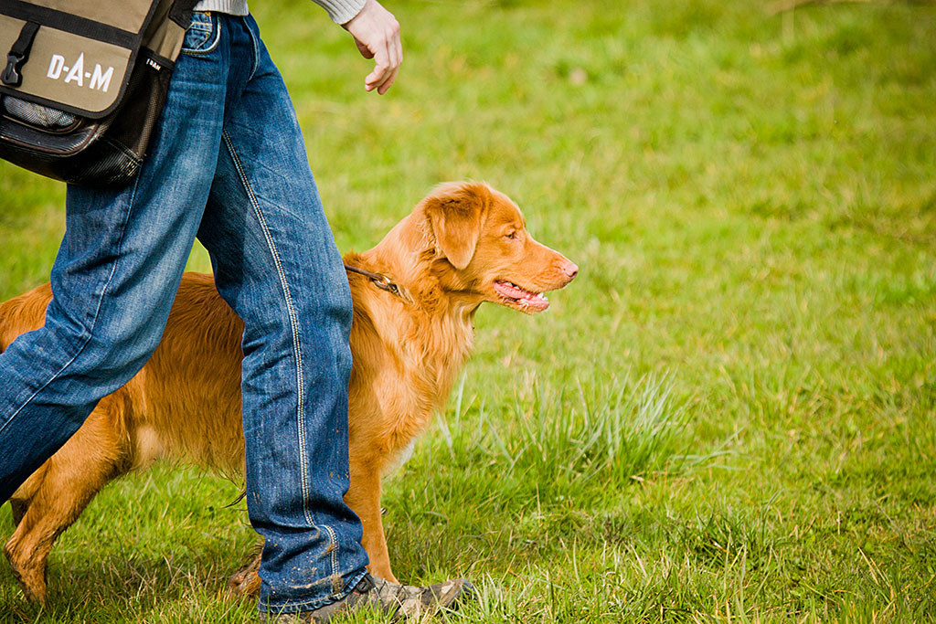Edison und Stephan wechseln den Standort