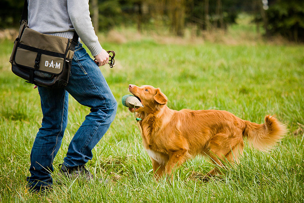 Edison bringt den Dummy mit weit aufgerissenem Maul zu Stephan