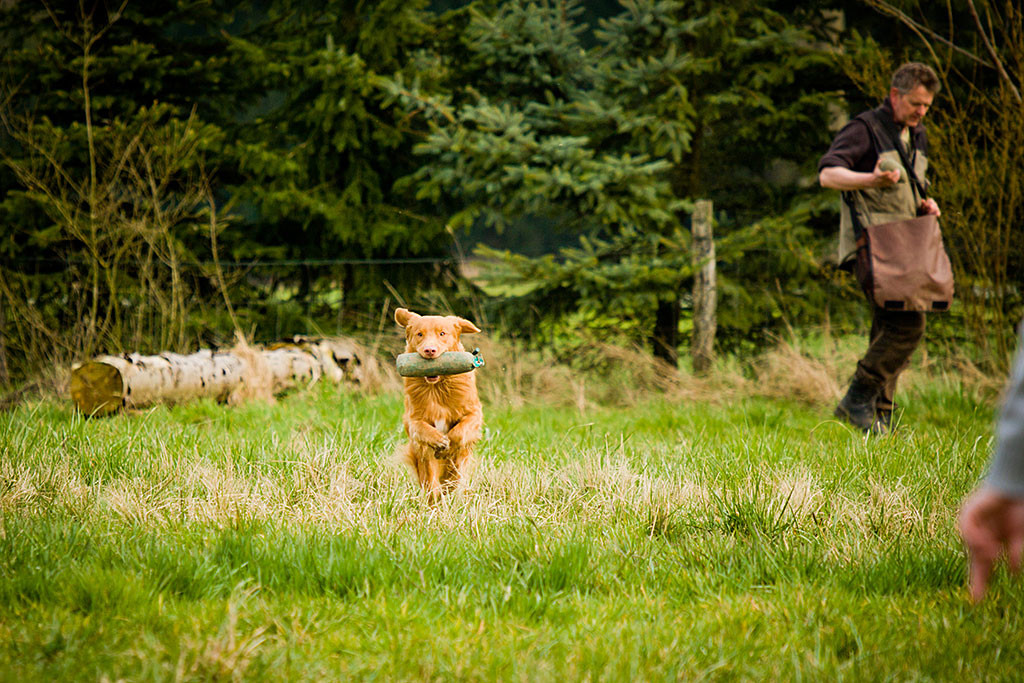 Edison hat den Dummy aufgenommen und scheint über die Brache zu schweben