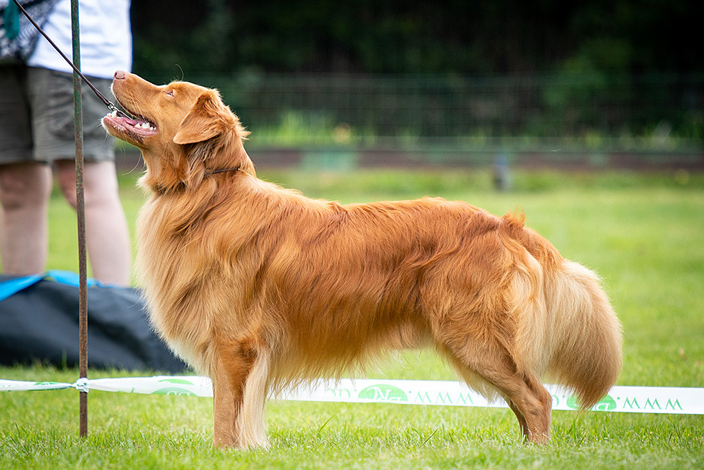 Edison steht in Pose und lächelt dabei