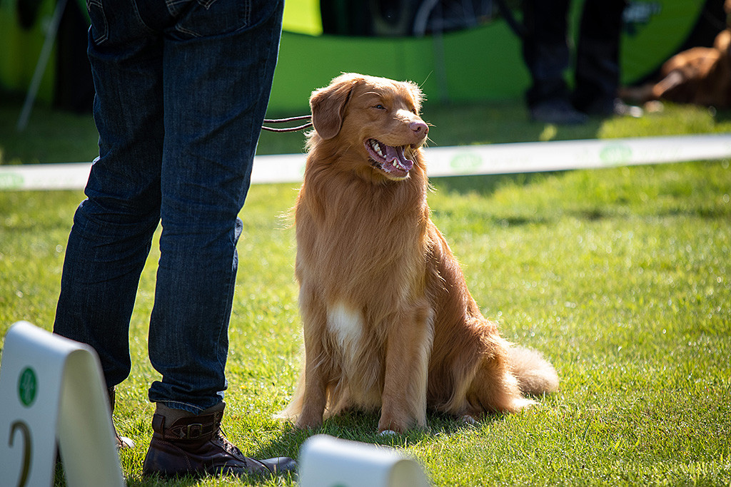 Edison sitzt vor Stephan und lächelt charmant zur Seite