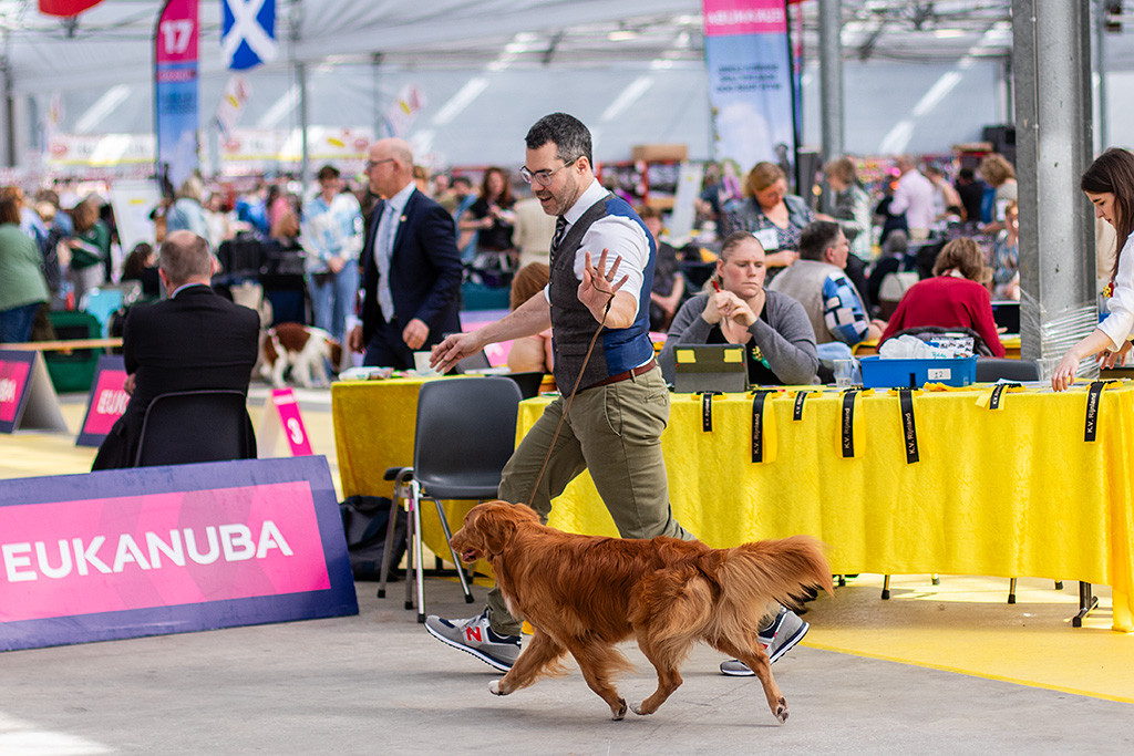 Newton fliegt im perfekten Kreuzgang an Stephans Seite durch den Ring