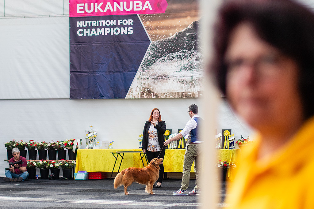 Edison steht wie ne Eins vor der Richterin, die Stephan erklärt, wie er zu laufen hat