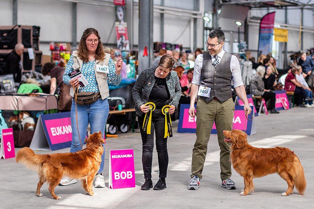 Newton steht mit Stephan beim obligatorischen Siegerfoto zusammen mit der BOB-Hündin, ihrer Besitzerin und der Richterin, die die BOB- und BOS-Schleifen in der Hand hält
