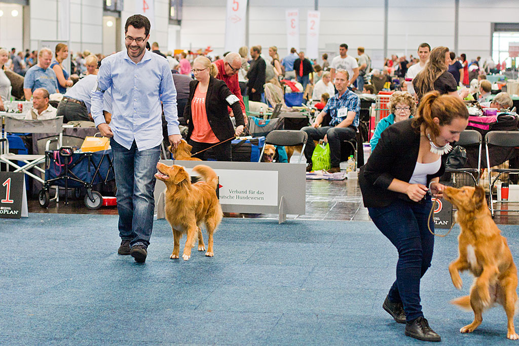 Edison, Stephan, Ivalu und Carina freuen sich ausgelassen im Ring