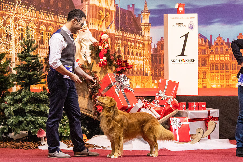 Edison steht vor Stephan im Ehrenring in Pose und lächelt zu ihm hoch