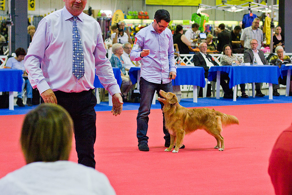 Edison wurde von der Richterin in die engere Auswahl gewählt und steht mit Stephan mitten im Ehrenring