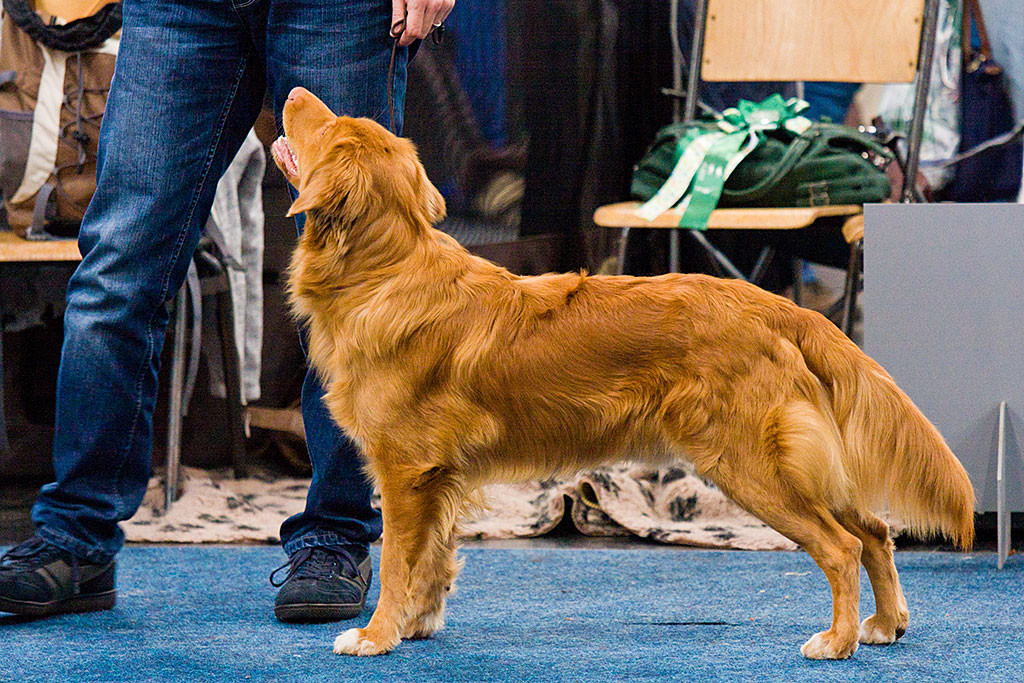 Edison in seiner Steh-Pose während er zu Stephan hochschaut