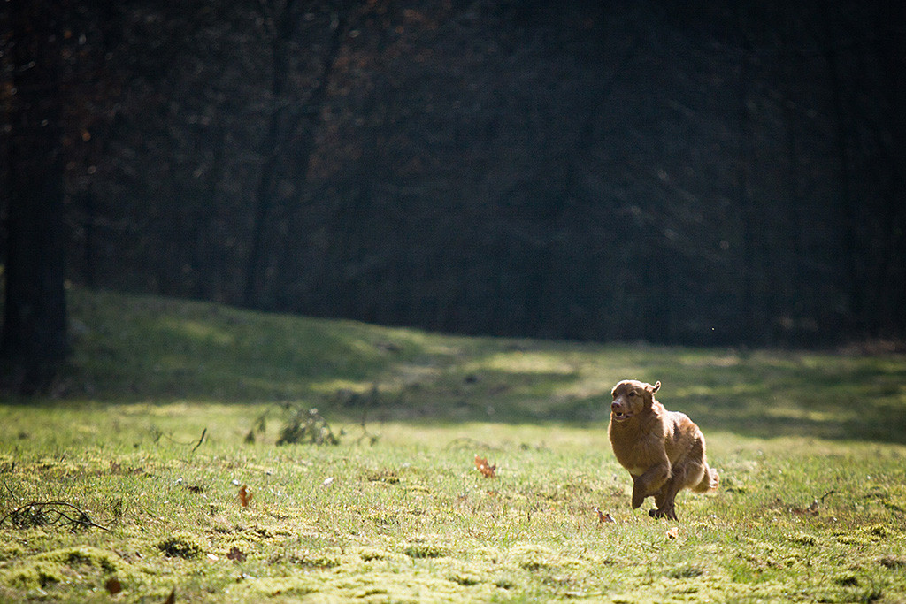 Ivalu flitzt lächelnd über die Wiese