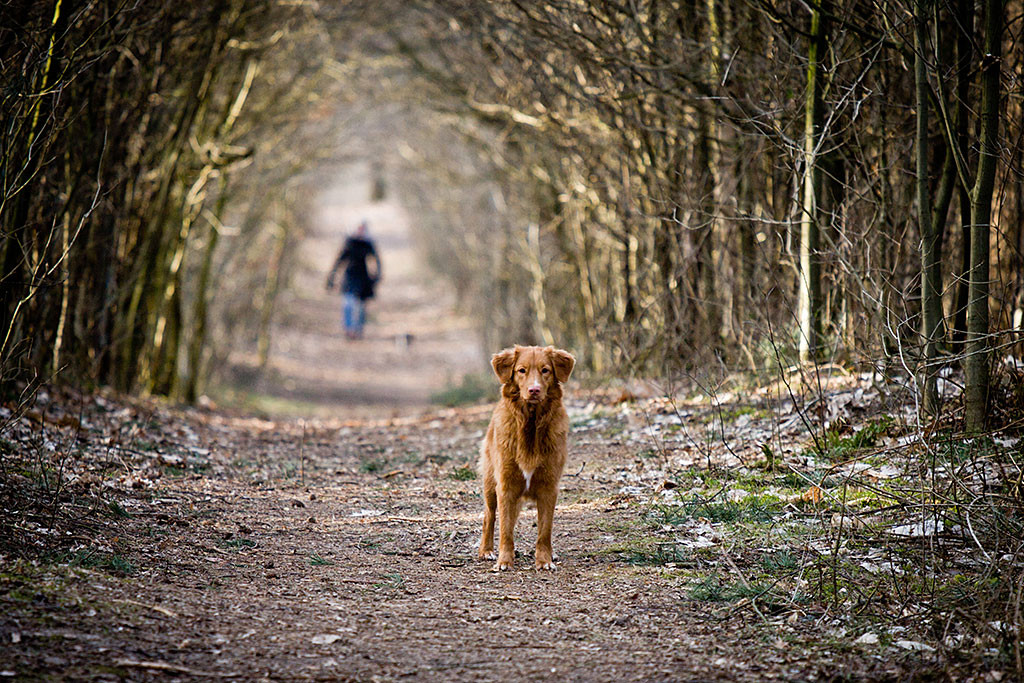 Ivalu steht auf einem Waldweg