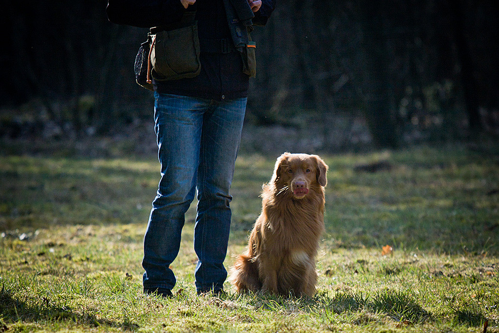 Edison sitzt neben Stephan auf der Wiese und leckt sich selbst über die Nase