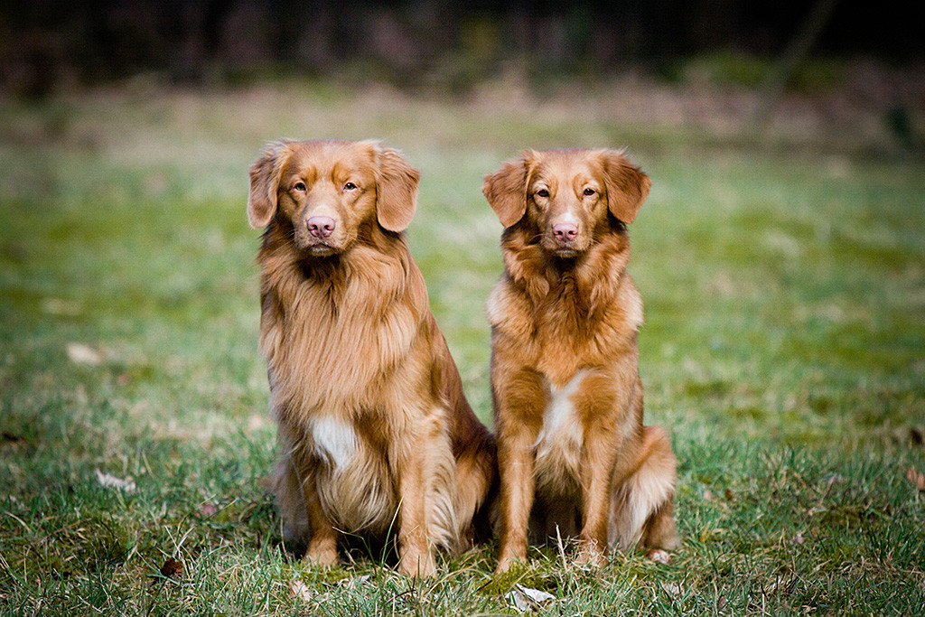 Edison und Ivalu sitzen nebeneinander auf der Wiese