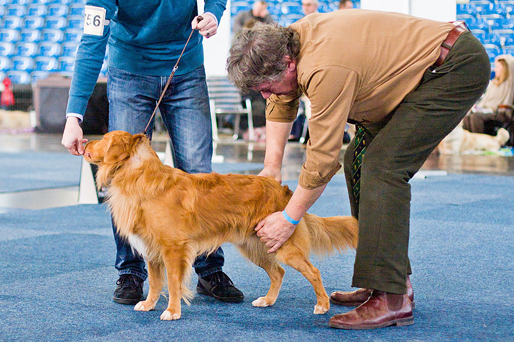 Edisons Lenden werden vom Richter kontrolliert, hinter ihnen steht Stephan