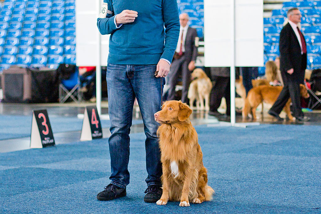 Edison sitzt neben Stephan im Ring und wartet auf den Richter