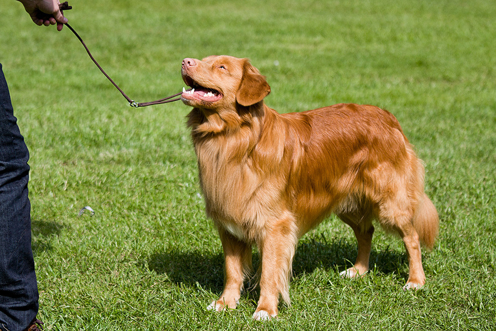 Edison steht vor Stephan im Ring und lächelt ihn an