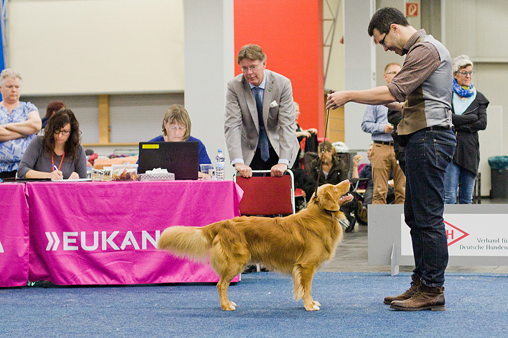 Edison steht mit Stephan vor dem Richtertisch während Richter Henric Fryckstrand seinen Bericht diktiert