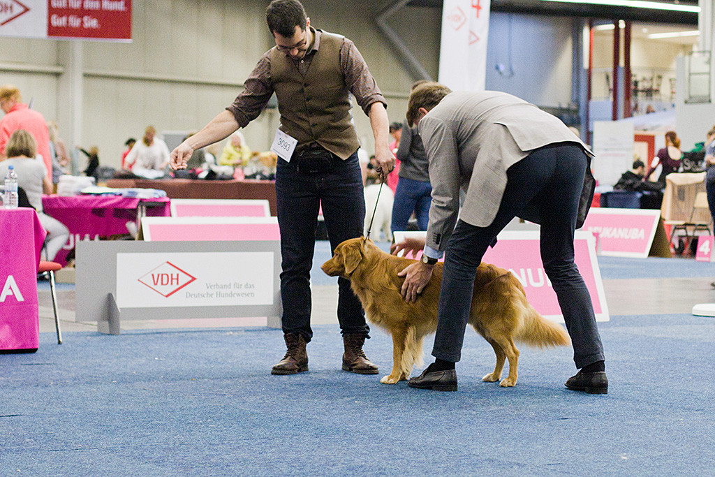 Edison wird von Richter Henric Fryckstrand abgetastet