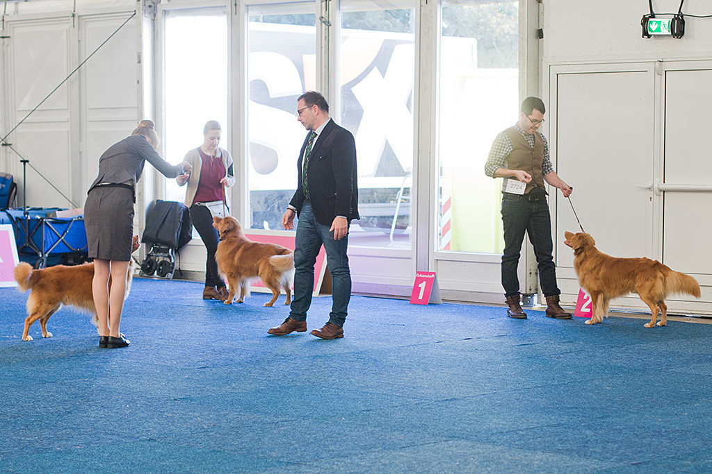 Edison wartet mit Skeet während Loke gerade beurteilt wird