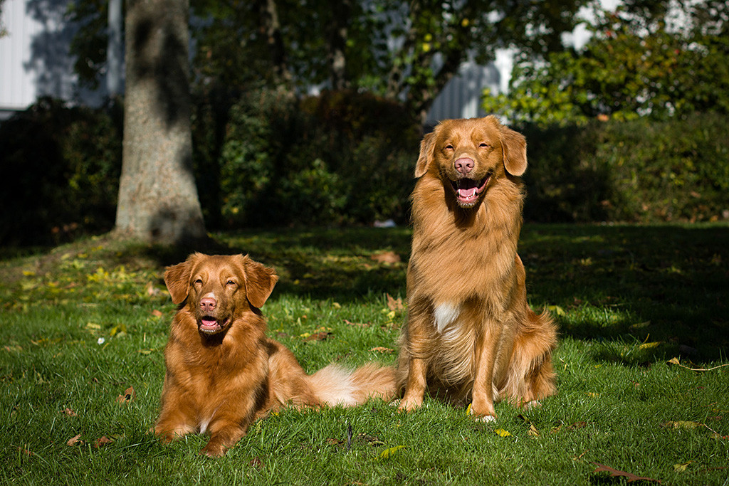Edison sitzt neben einer liegenden Ivalu im Gras, beide lächeln über beide Ohren