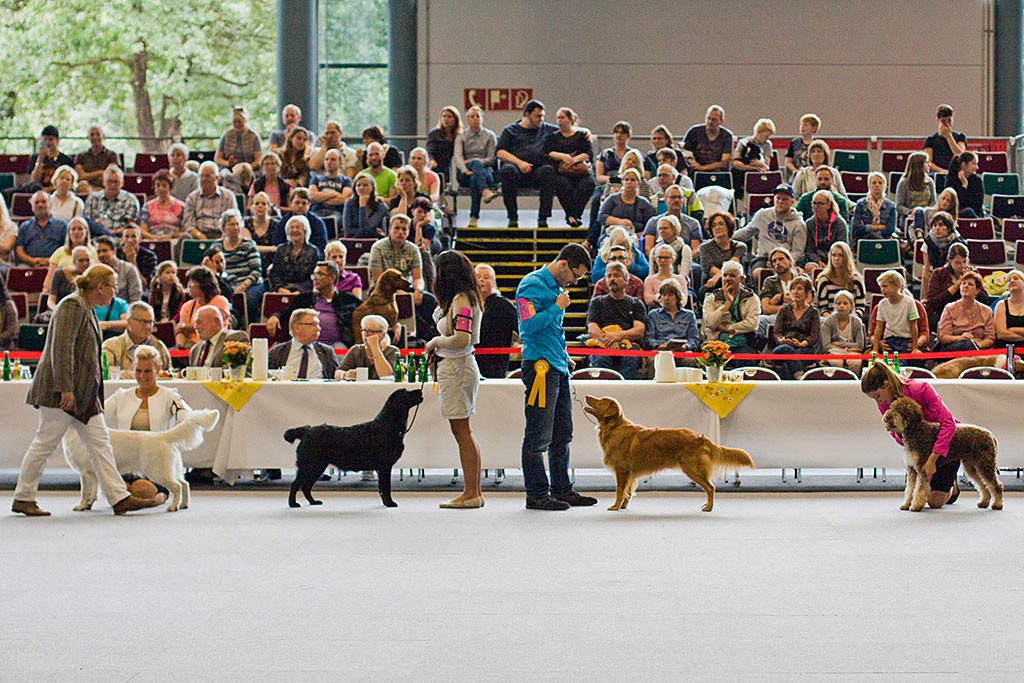 Edison steht vor Stephan in Pose und wartet auf die Richterin