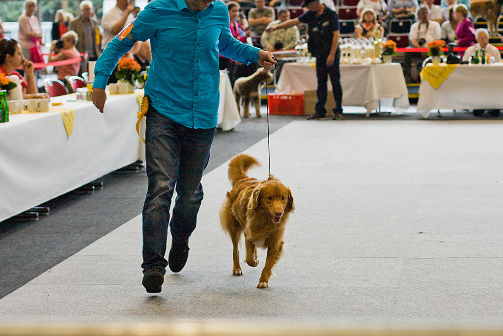 Edison läuft mit viel Schwung an Stephans Seite durch den Ehringring