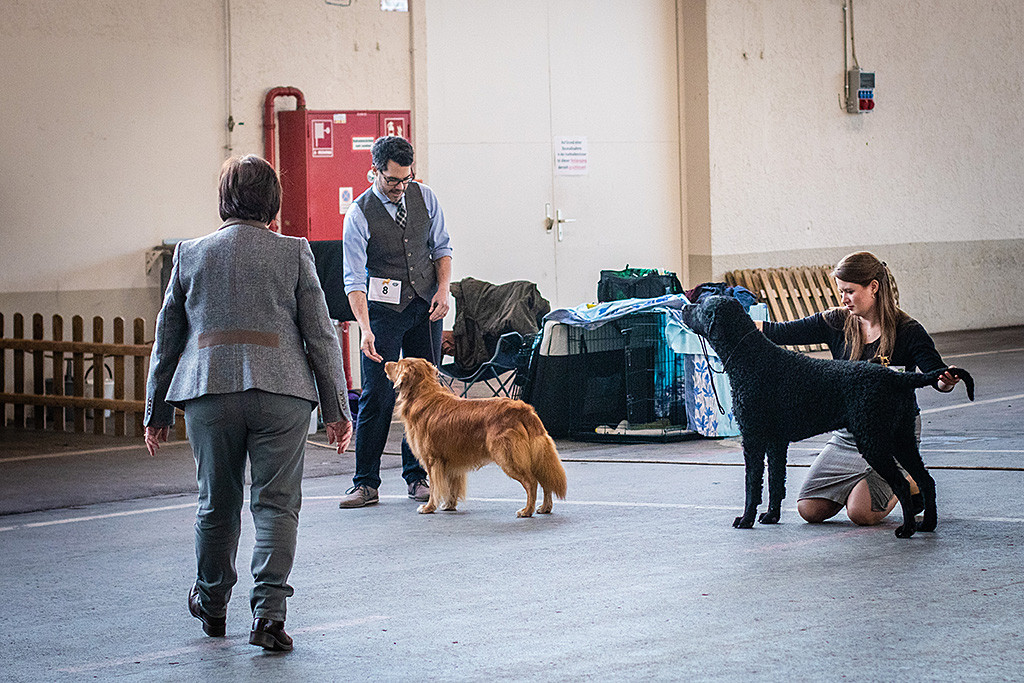 Edison steht mit Stephan neben Curly Samu und Ann-Kathrin während sich dir Richterin beide nochmal anschaut