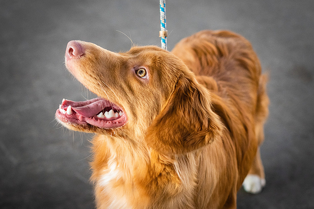 Newton lächelt über beide Ohren