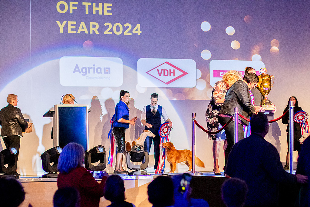 Newton steht neben dem Greyhound und versucht Augenkontakt aufzunehmen während Stephan mit der Handlerin redet