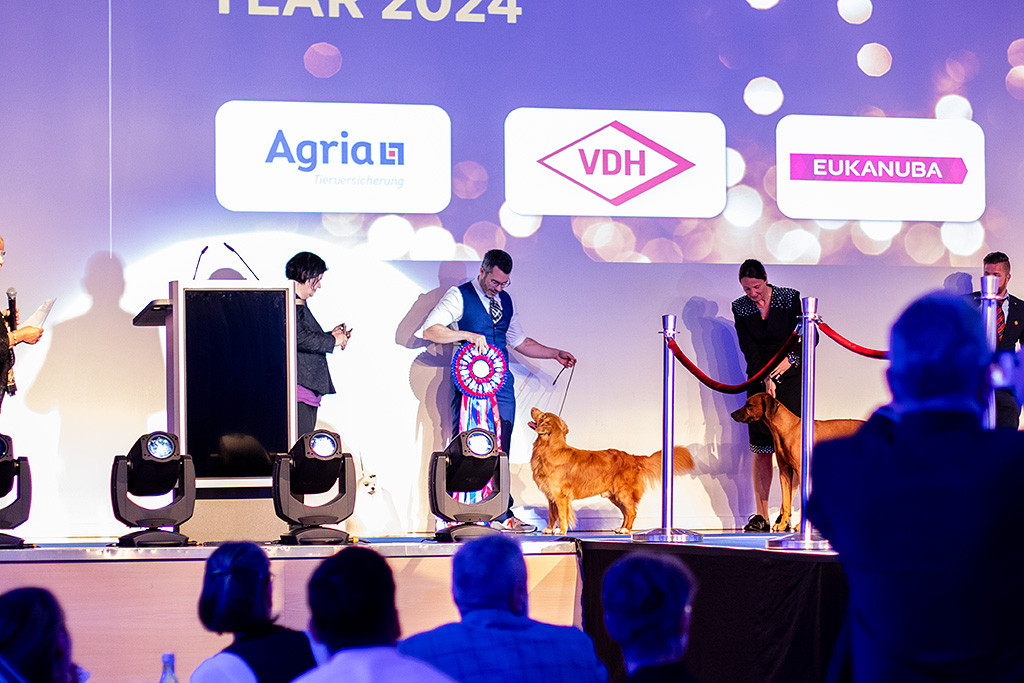 Newton freut sich mit Stephan über den fünften Platz im Hintergrund auf der Bühne neben den anderen Hunden