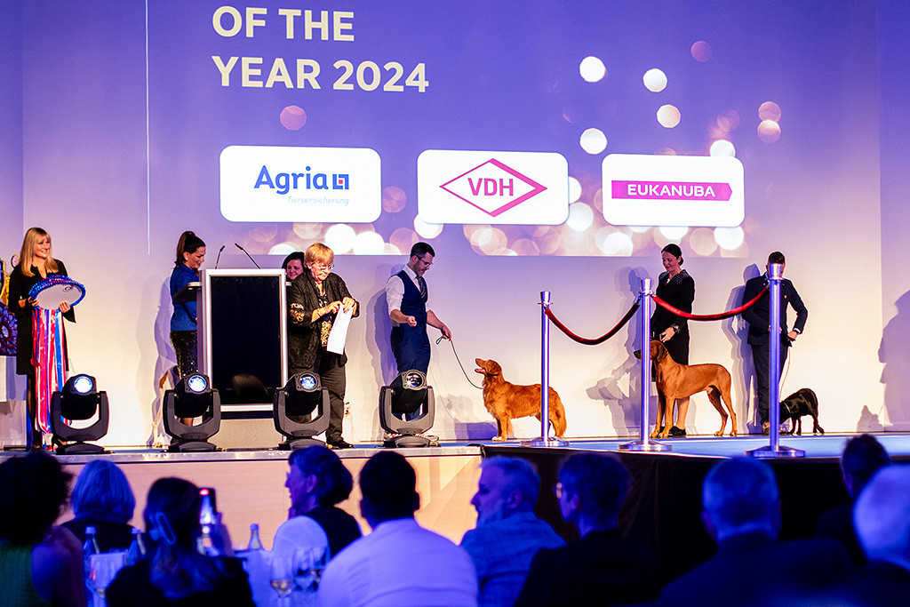 Newton steht aufgereiht mit den anderen Hunden auf der Bühne während die Moderatorin den Umschlag mit den Ergebnissen aufmacht