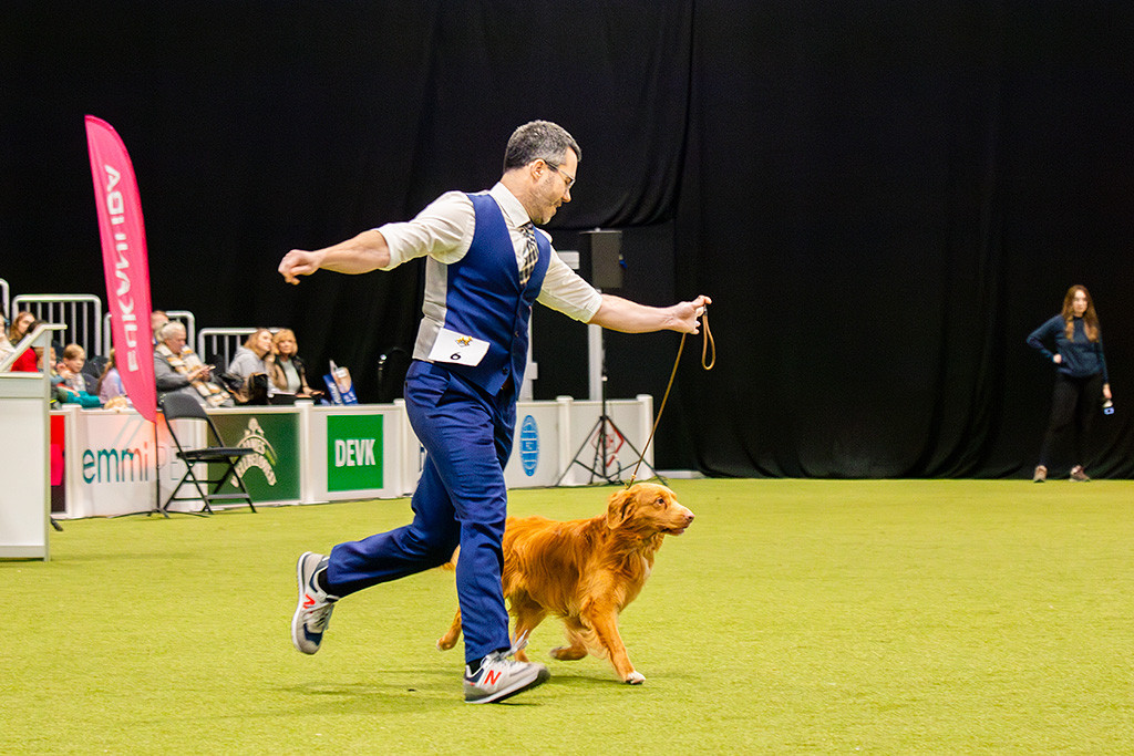 Newton läuft an Stephans Seite synchron durch den Ring