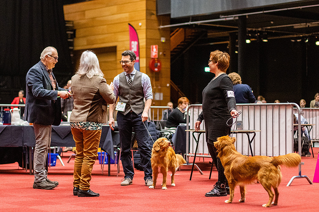 Newton steht relaxt an der Seite von Stephan, der sich fröhlich mit der Richterin und dem Ringhelfer unterhält