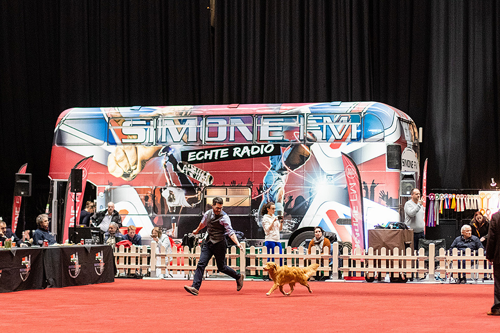 Newton fliegt förmlich an Stephans Seite durch den Ehrenring und hat dabei keine Füße am Boden