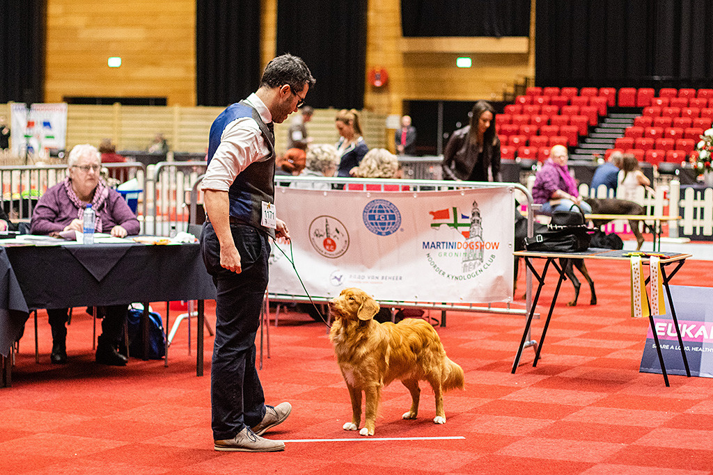 Newton steht mit Stephan vor dem Richtertisch und nimmt Aufstellung