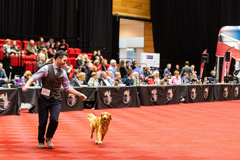 Newton läuft an Stephans Seite durch den Ehrenring und hat sichtlich Spaß dabei