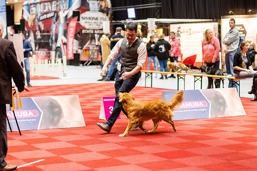 Newton läuft an Stephans Seite durch den Ring und orientert sich an ihm