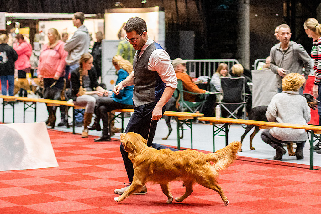 Newton läuft an Stephans Seite durch den Ring