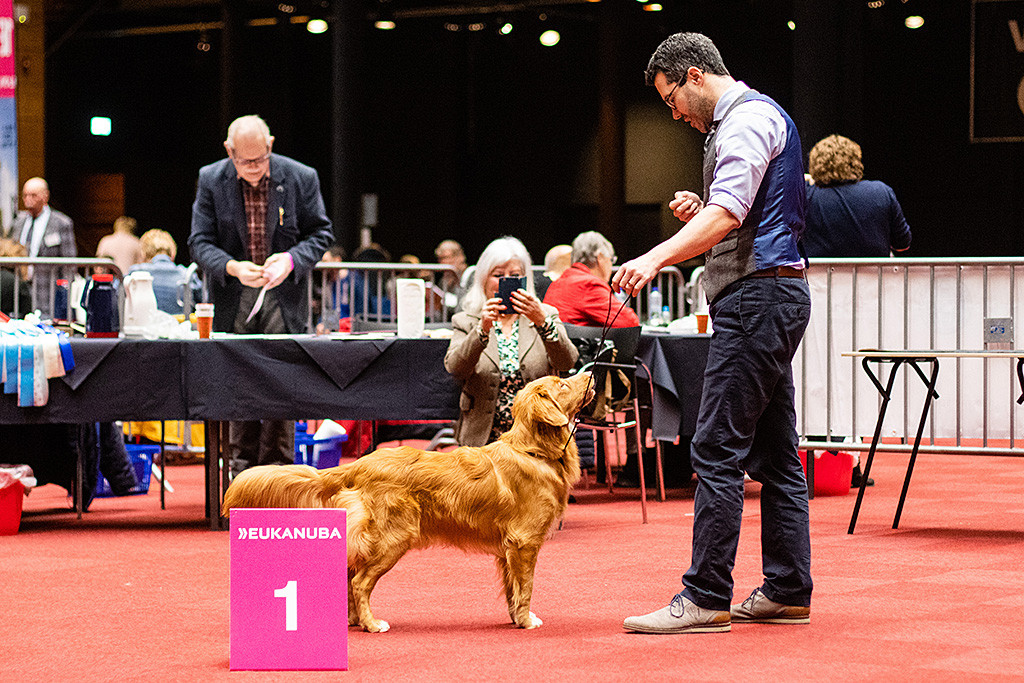 Newton steht frontal vor Stephan in Pose und wird von der Richterin fotografiert