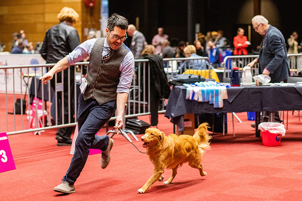 Newton läuft an Stephans Seite fröhlich durch den Ring