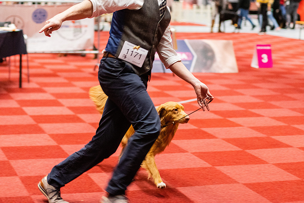 Newton läuft an Stephans Seite geschwind durch den Ring