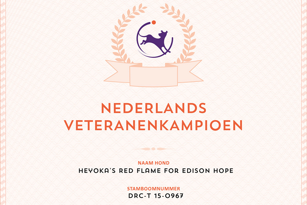 Edisons Urkunde zum niederländischen Veteranen-Champion