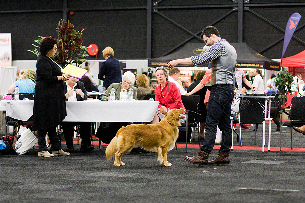 Edison steht mit Stephan vor dem Richtertisch während die Richterin ihren Bericht diktiert