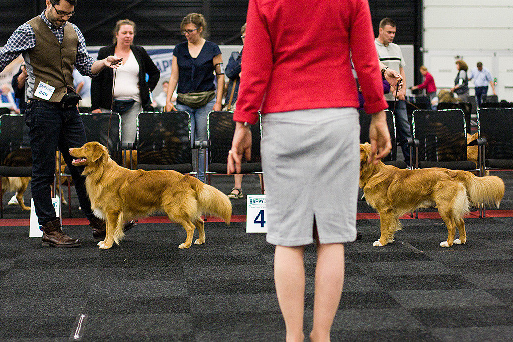 Edison steht neben »Fire Shadow Grateful Platter Maximum«, während die Richterin ihre Entscheidung trifft