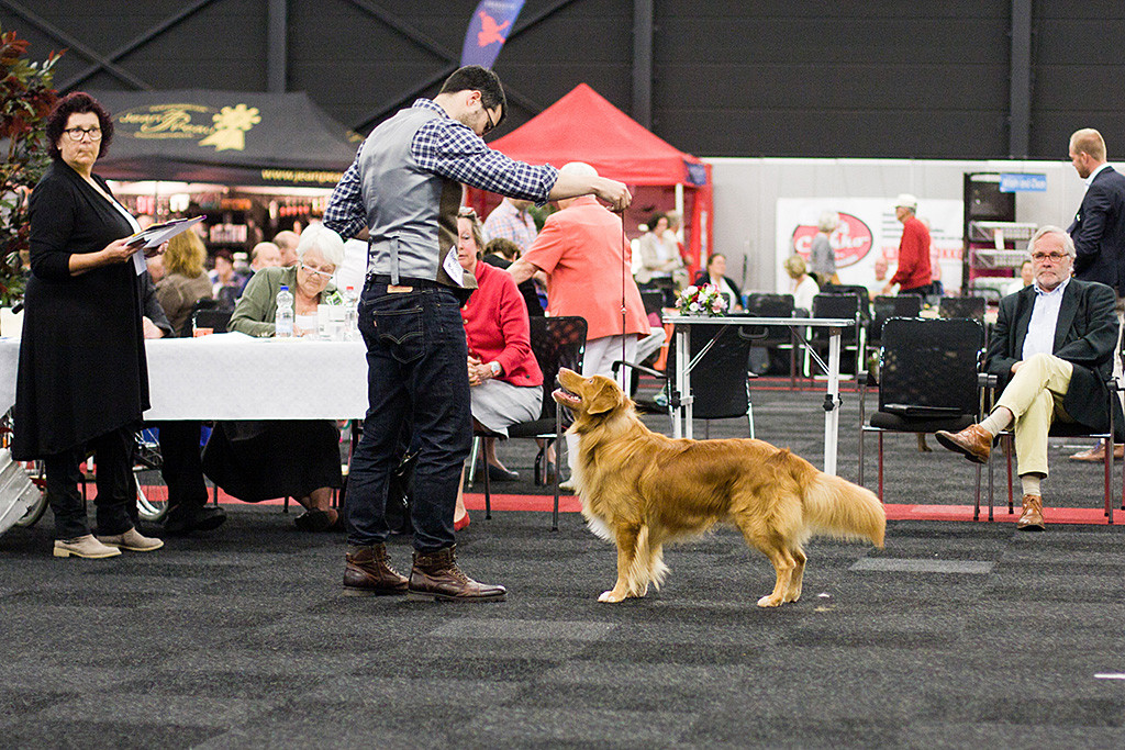Edison steht vor dem Richtertisch und lächelt dabei Stephan an