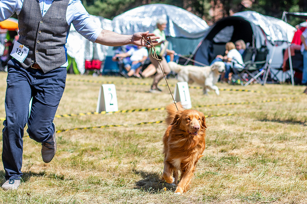Newton läuft an Stephans Seite durch den Ring