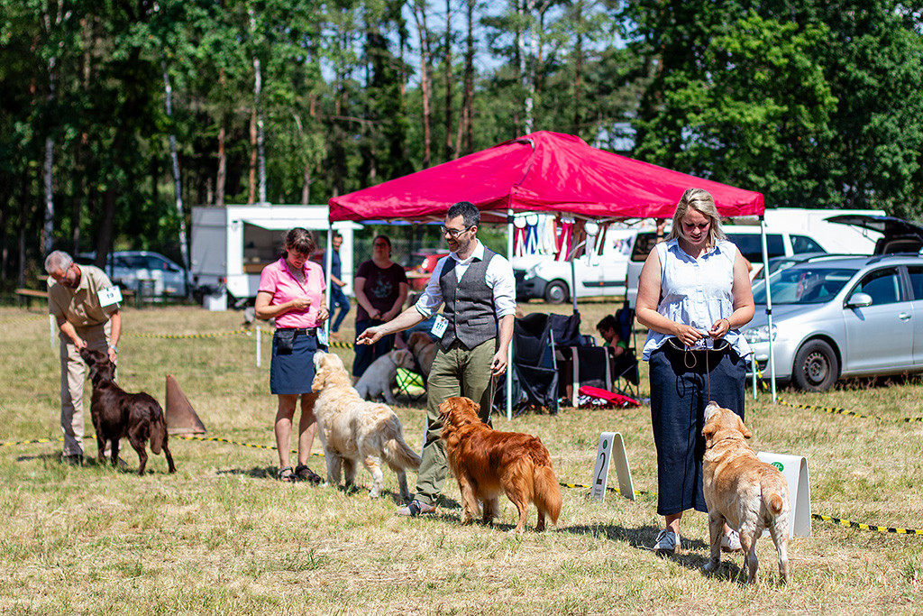 Edison steht in einer Reihe mit den Veteranen der anderen Rassen