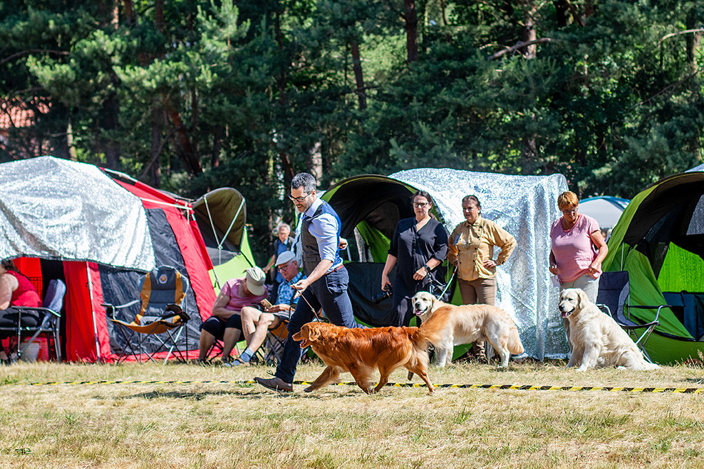 Edison läuft an Stephans Seite geschwind durch den Ring
