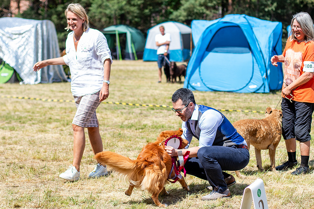 Newton wird kräftig von Stephan durchgekrault, die Richterin und Chessie-Besitzerin freuen sich mit