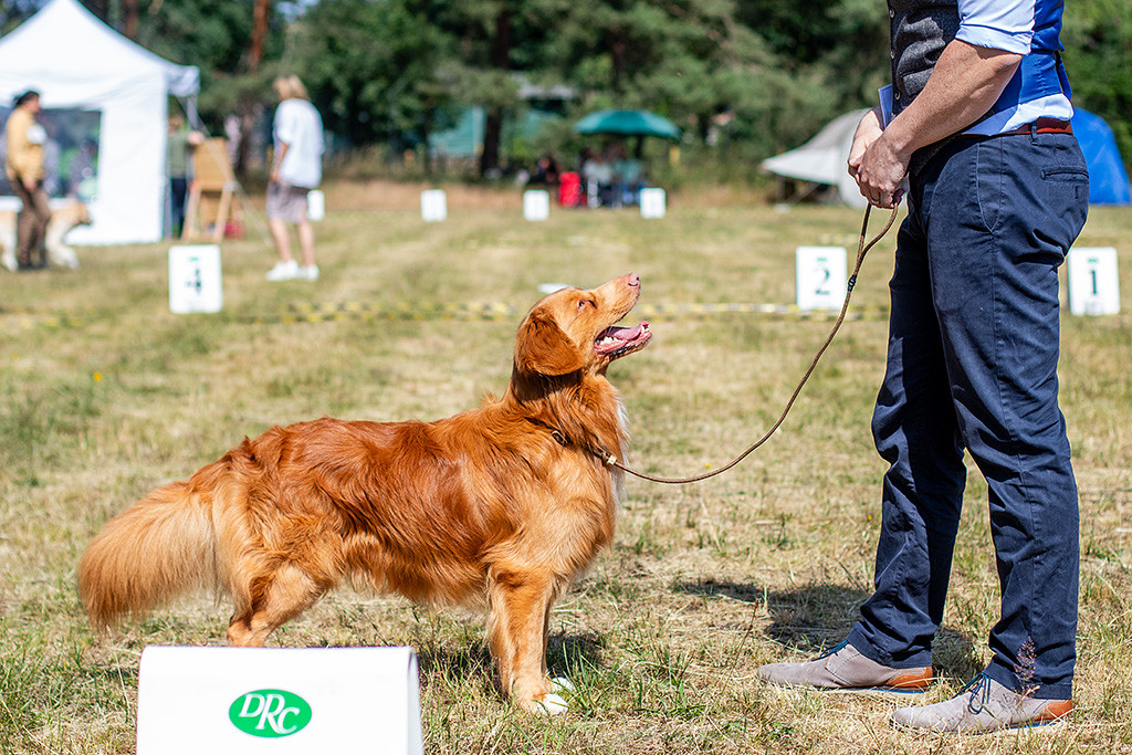Newton steht frontal vor Stephan und schaut lächelnd zu ihm hoch