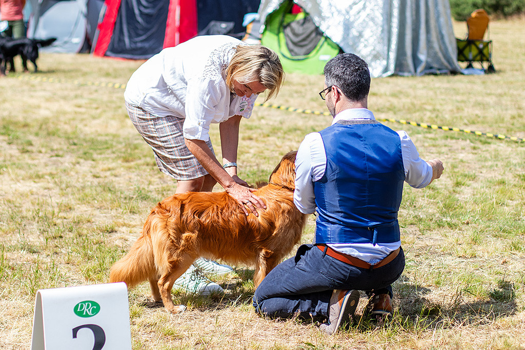 Newton wird von der Richterin begutachtet, die seinen Rücken abtastet, Stephan kniet dahinter